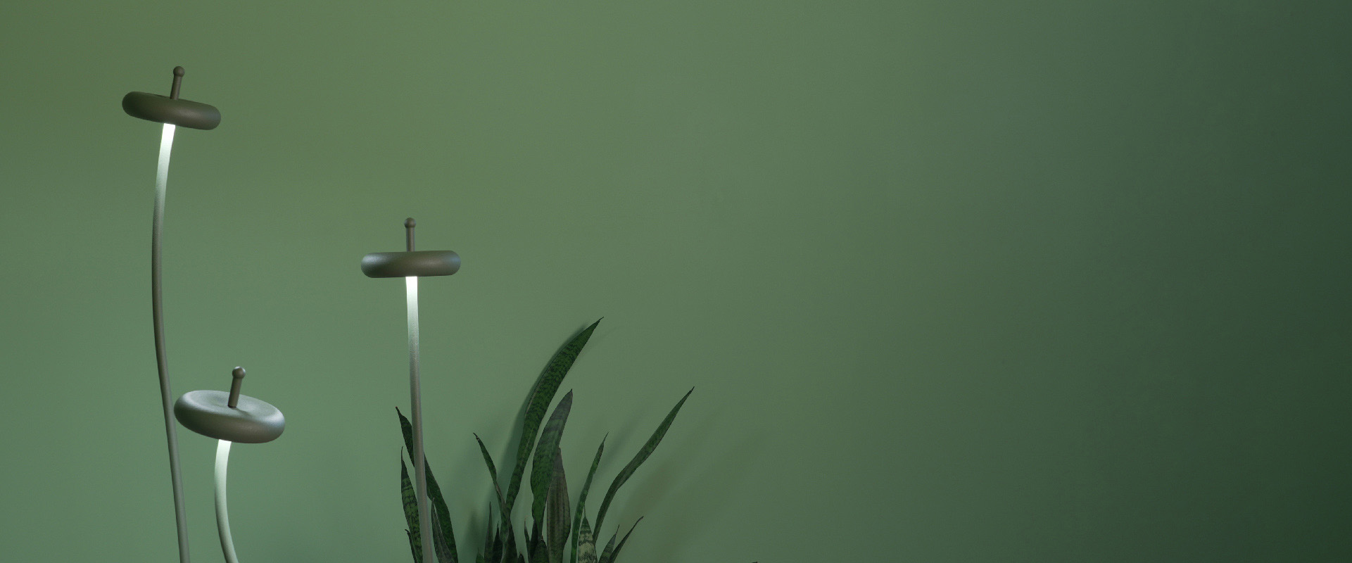 بنر چراغ پارکی مدرن آنیسوس